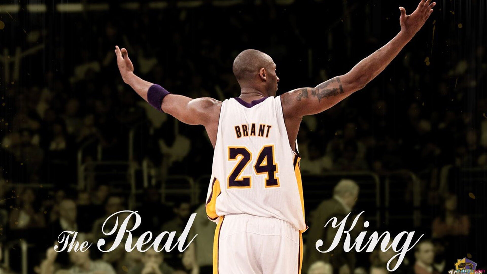 KPL春季赛五星战队诞生，期待精彩表现，kpl春季赛队伍