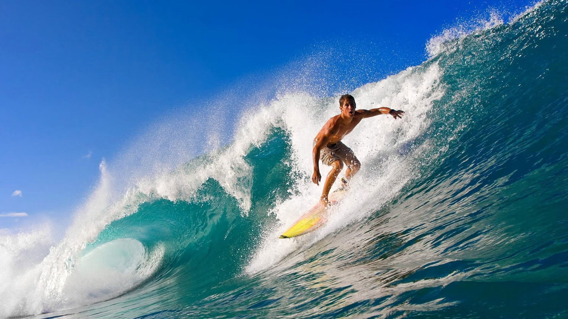 德甲创新战术持续升级，精彩对决精彩纷呈，德甲锦集